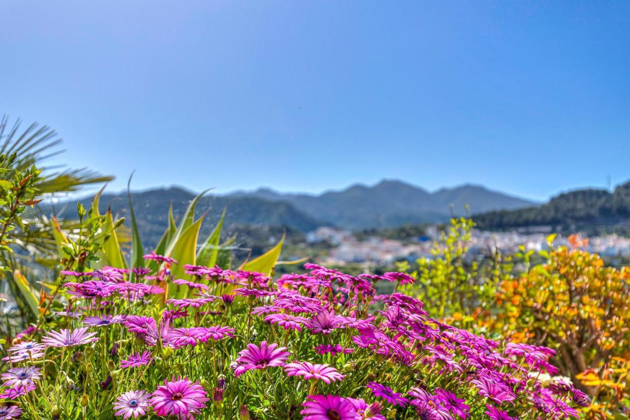 Monda Heights Close To Marbella Exteriör bild